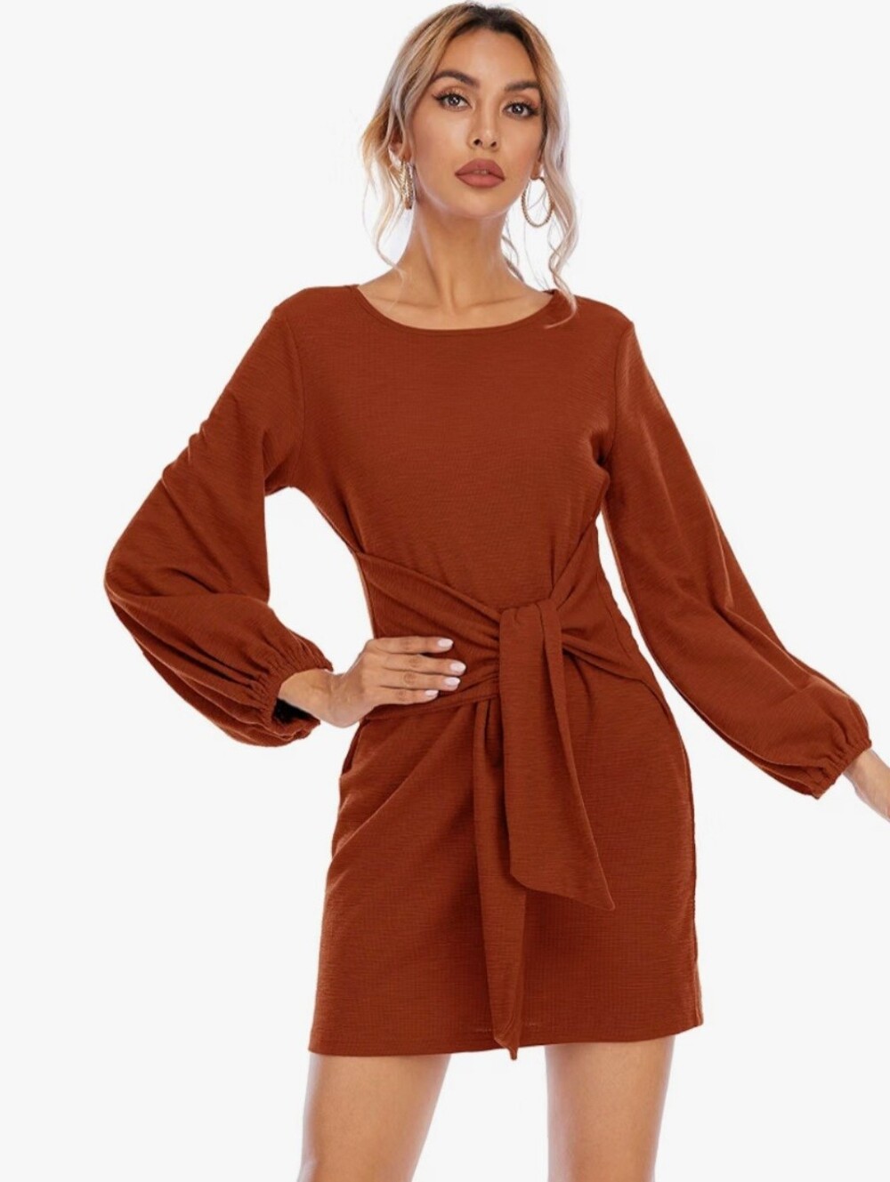 Long-Sleeve Tie-Waist Mini Dress in Rust